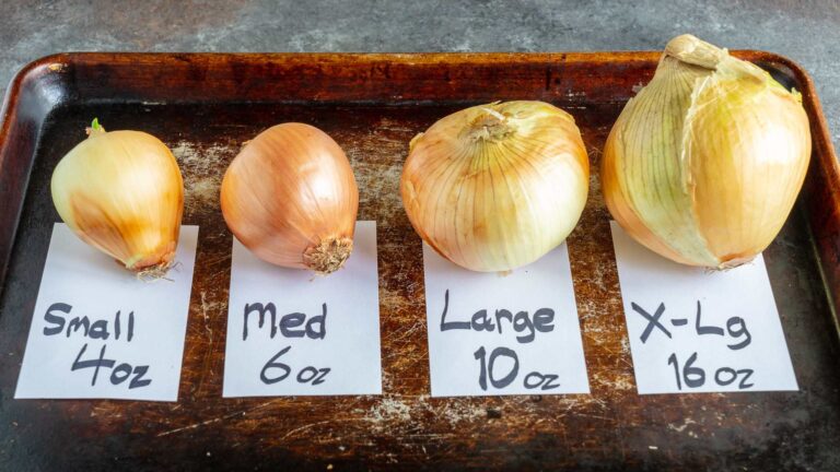 Culinary Confusion: When Size Matters