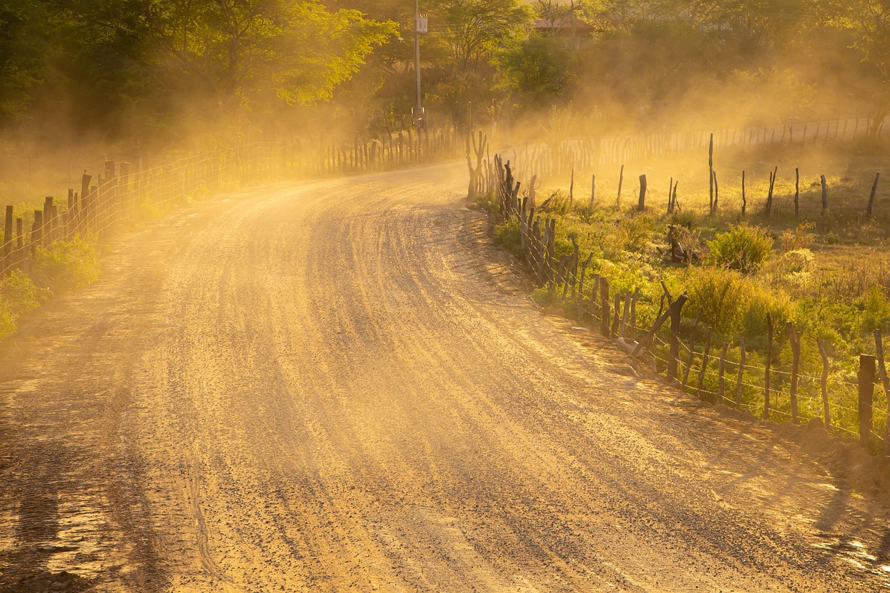 road against light dust golden 7400333